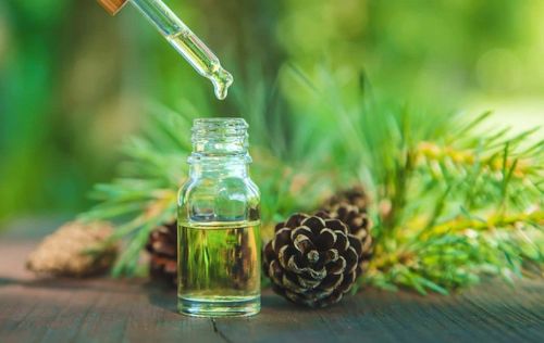 Pine Needle Oil