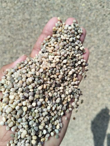 Natural Guar Gum Seed