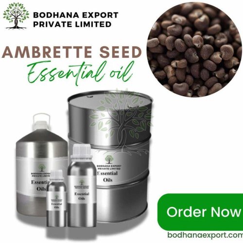 Ambrette Seed Essential Oil