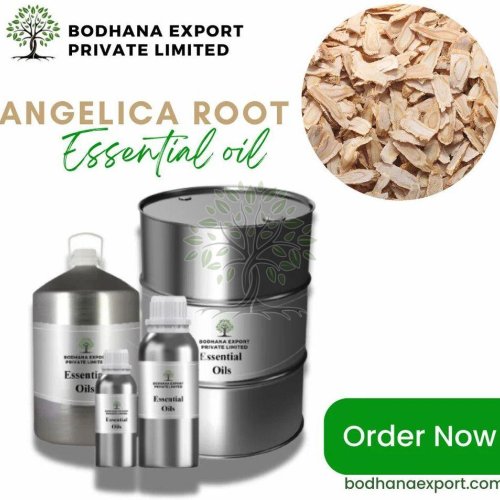 Angelica Essential Oil