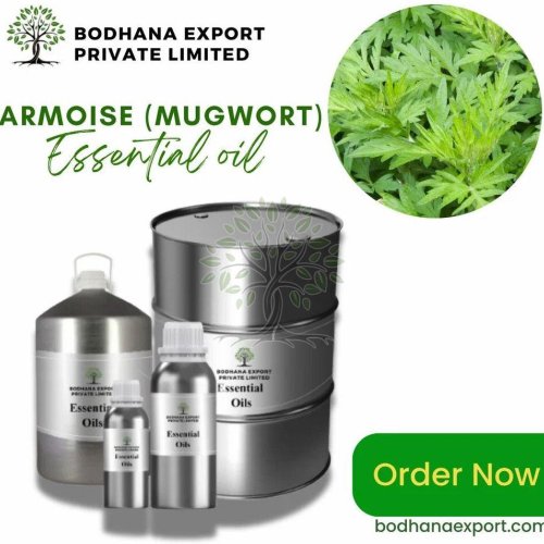 Armoise Essential Oil