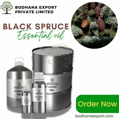 Black Spruce Essential Oil