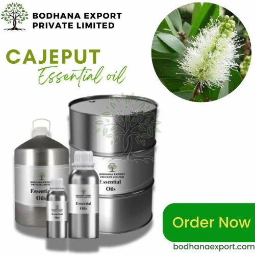 Cajeput Essential Oil