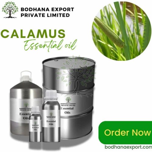Calamus Essential Oil
