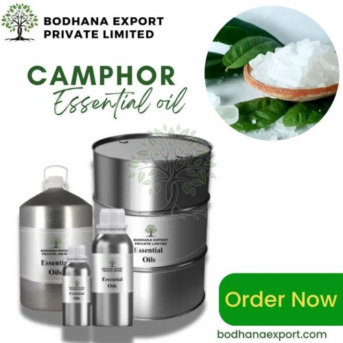 Camphor Essential Oil