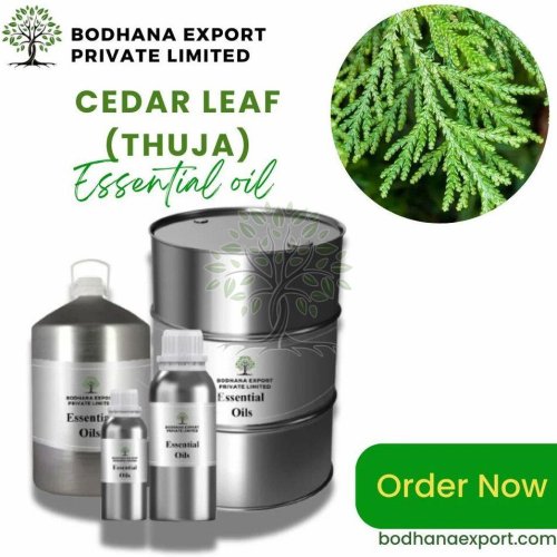 Cedar Leaf Thuja Essential Oil