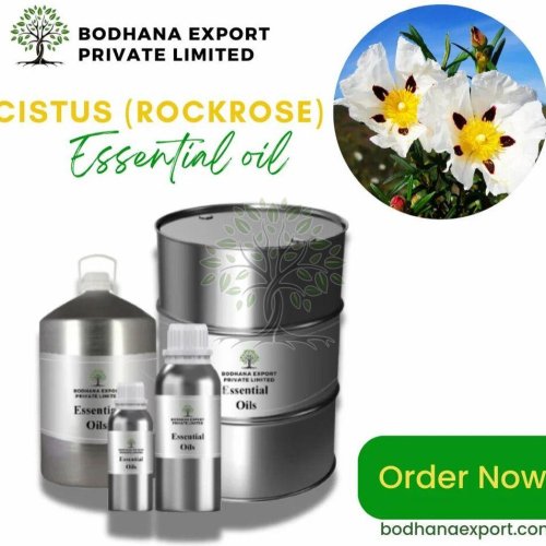 Cistus Rockrose Essential Oil