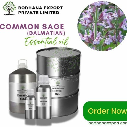 Common Sage Essential Oil