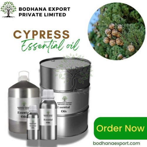 Cypress Essential Oil