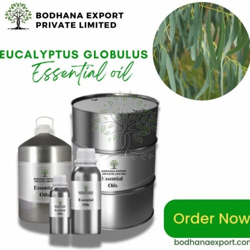 Eucalyptus Globulus Essential Oil