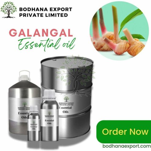 Galangal Essential Oil