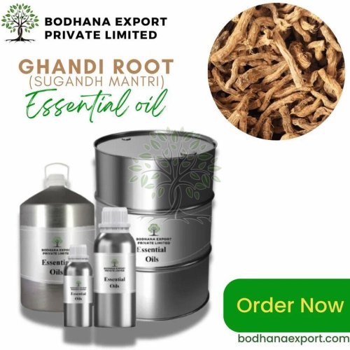 Ghandi Root Essential Oil