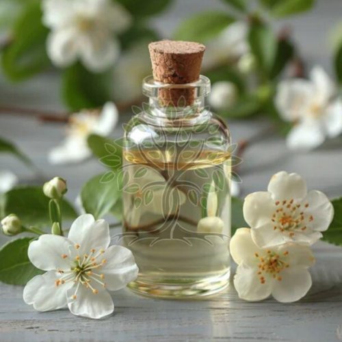 Jasmine Essential Oil