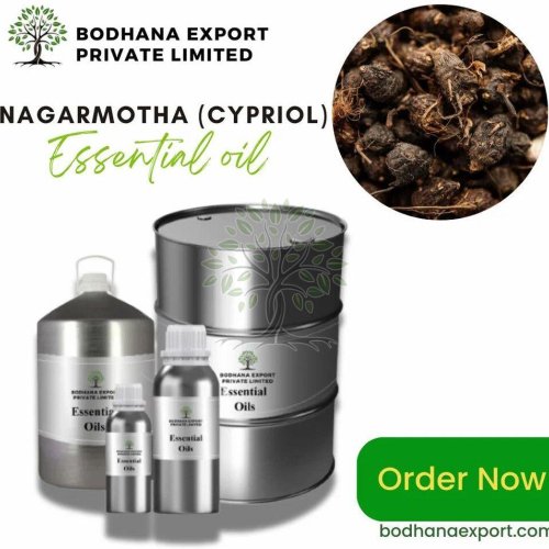 Nagarmotha Essential Oil