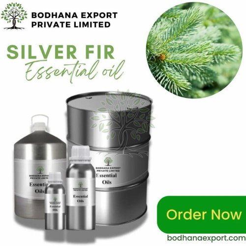 Silver Fir Essential Oil