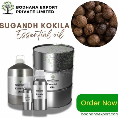 Sugandh Kokila Essential Oil