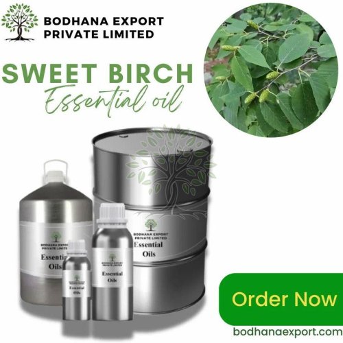 Sweet Birch Essential Oil