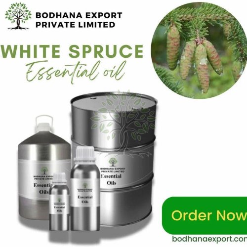 White Spruce Essential Oil