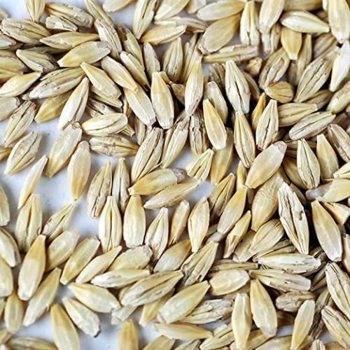 Natural Barley Seeds