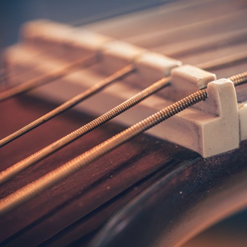Guitar Gut String Set Guitar Gut String Set