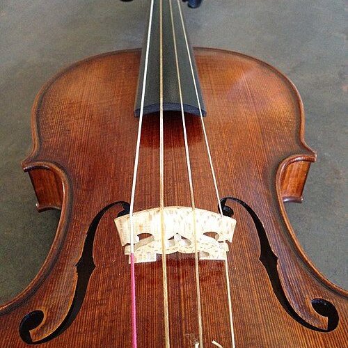 Viola Bass 4 Gut String Set