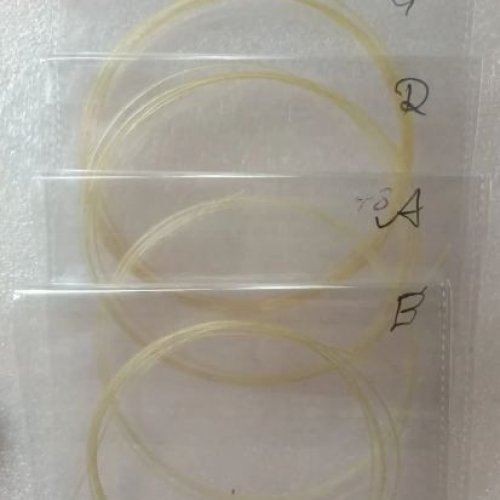 Violin Gut String Set
