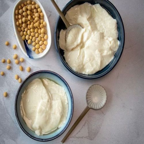 Fresh Soya Curd