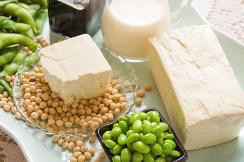 Fresh Tofu Soya Paneer
