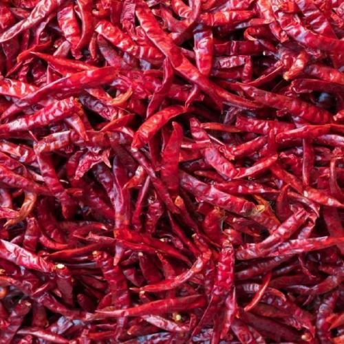 Dry Red Chilli