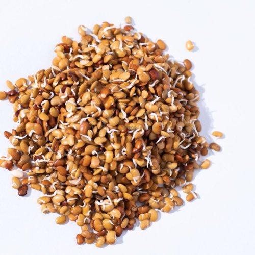 Sprouted Horse Gram