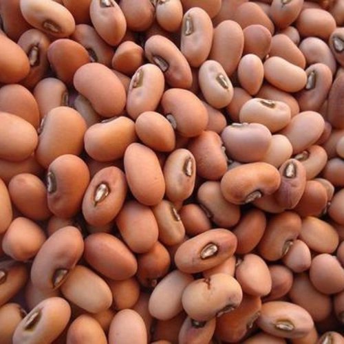 Brown Dry Cowpea