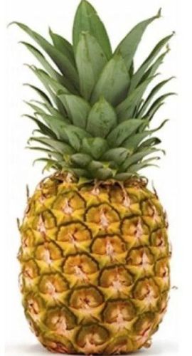 A Grade Pineapple