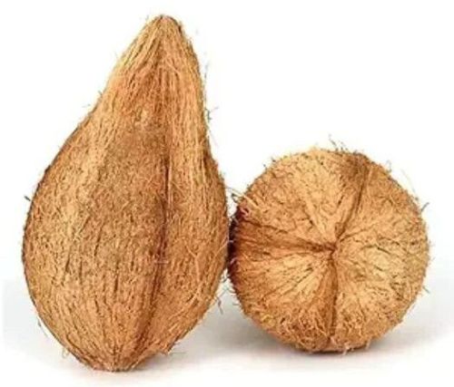 Pooja Coconut