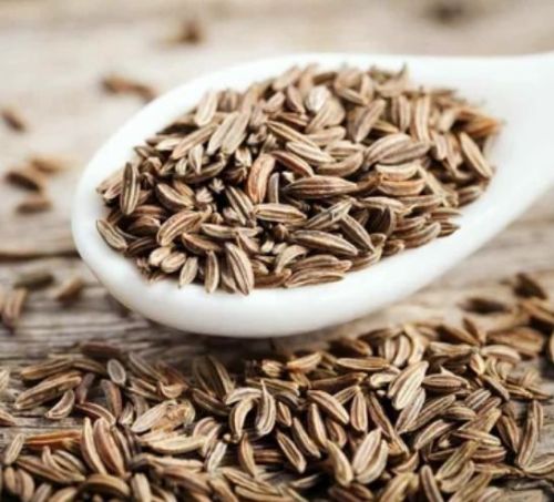Singapore 99 Cumin Seed