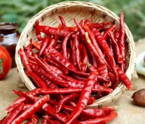 Teja S17 Dry Red Chilli