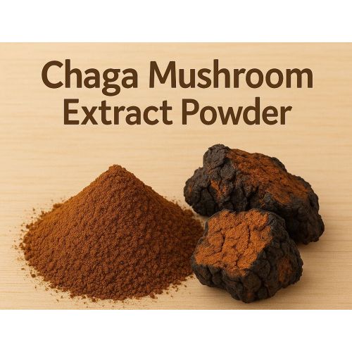 Chaga Mushroom Powder