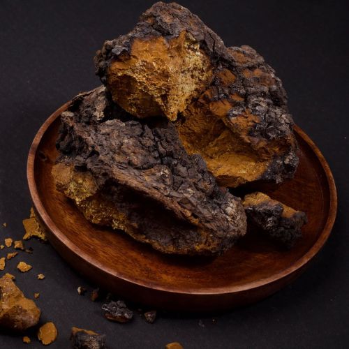 Dried Chaga Mushroom