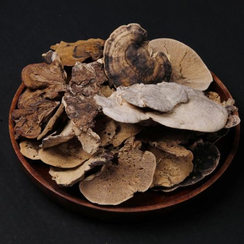 Dried Turkey Tail Mushroom