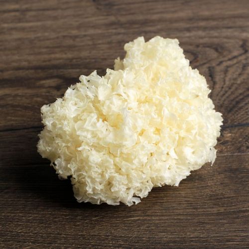 Fresh Tremella Mushroom