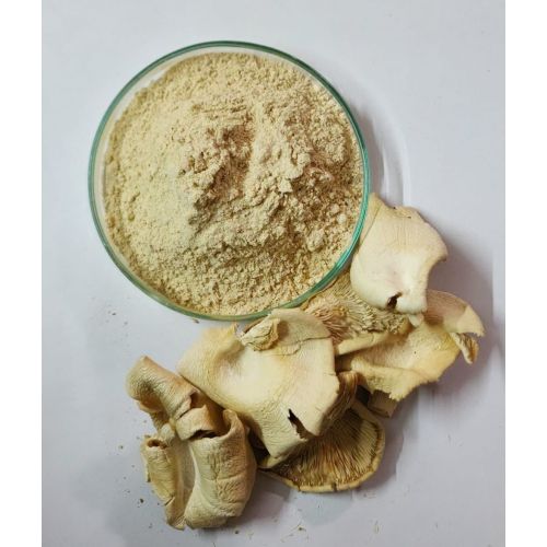 King Oyster Mushroom Powder