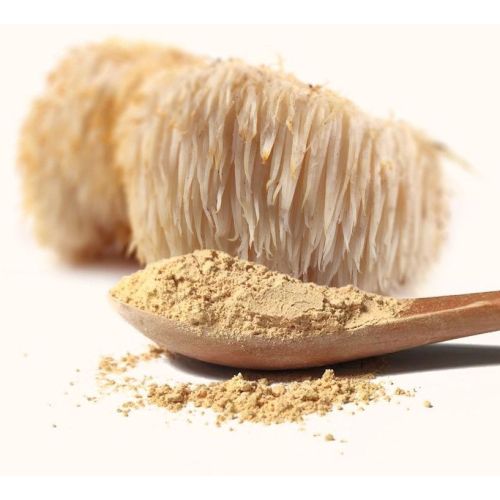 Lion’s Mane Mushroom Powder