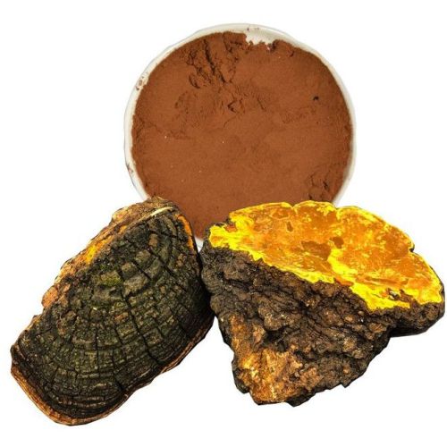 Mesima Mushroom Powder