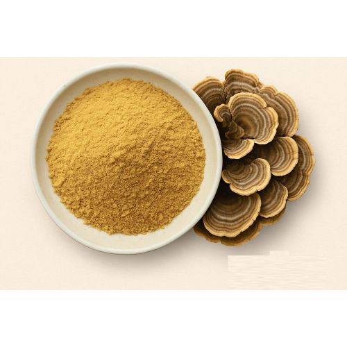 Turkey Tail Mushroom Powder