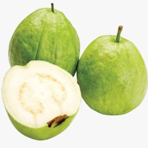 Fresh Guava