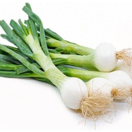 Fresh Spring Onion
