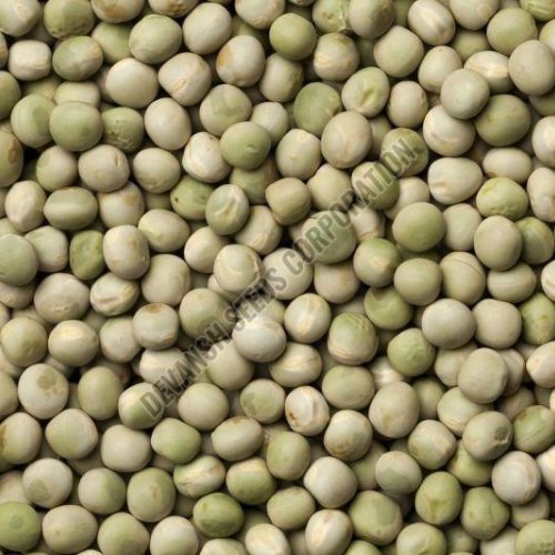 Dantewada Green Pea Seed
