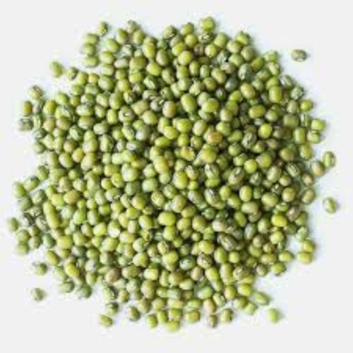 Ipm 410-3 Shikha Moong Seed