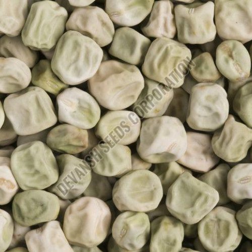 Peas PB-89 Seed