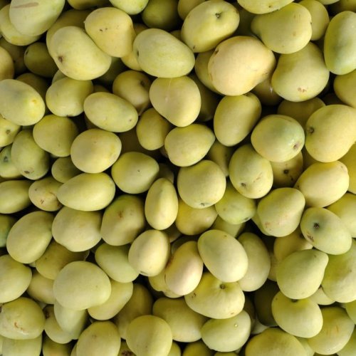 A Grade Banganapalli Mango