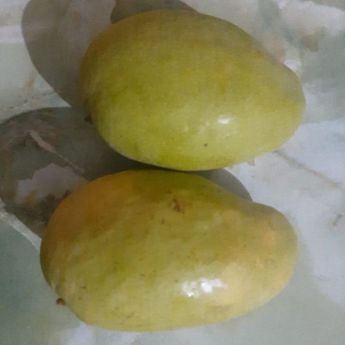 Fresh Bernisha Mango